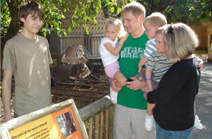 Miami Science Museum, Living Collection Wildlife Rehabilitation Services programming