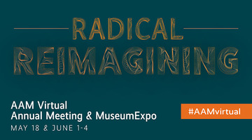 #AAMvirtual