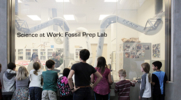 Fossil Prep Lab