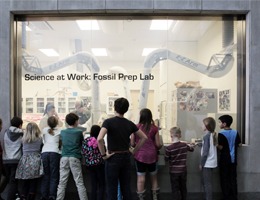Fossil Prep Lab