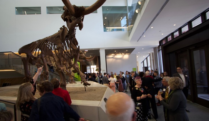 University of Michigan Museum of Natural  History