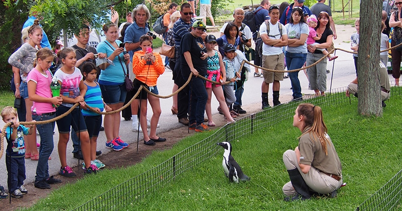 Toronto Zoo