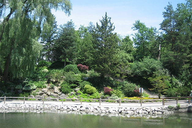 Edwards Gardens Activities