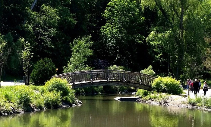 Photo courtesy of the Toronto Botanical Gardens