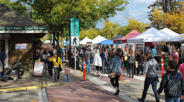 Township of Langley Recreation and Cultural Plan