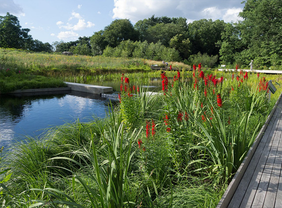 New York Botanical Garden