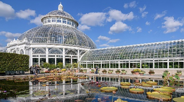 New York Botanical Garden