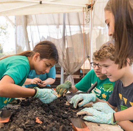 La Brea Tar Pits & Museum