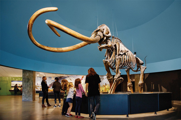 La Brea Tar Pits & Museum
