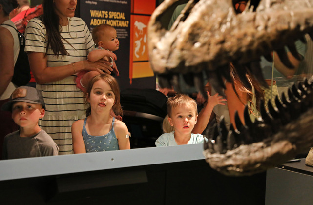 Museum of the Rockies