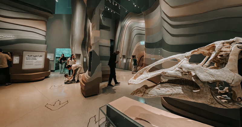 Natural History Museum