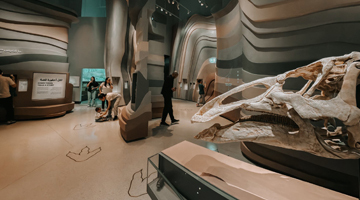 Natural History Museum