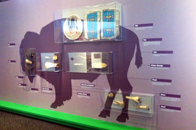 Innovation Gallery: Early Peoples